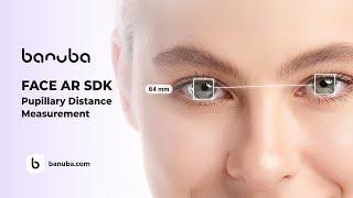 Pupillary Distance Measurement in Banuba Face AR SDK | How it works