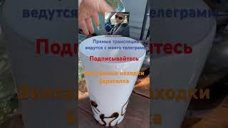 Находка на барахолке Нюрнберг Германия #антиквариат #барахолка