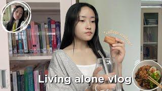 Living alone diaries  | Indian girl | college student | productive days