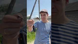 Помог полицейскому 