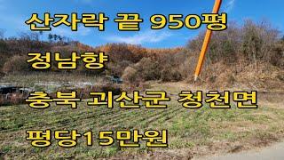 마을과 떨어진 산끝자락 방해받지 않는 곳..건축가능한 정남향 950평토지#괴산땅매매#청천면땅매매#충청도땅매매#충북땅매매#충청도토지매매#충청북도토지매매#전원주택#농가주택#시골땅매매