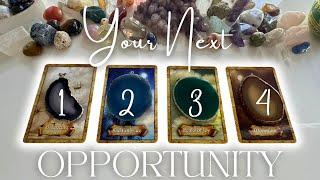 What Is Your Next Opportunity Pick A Card   Tarot Reading