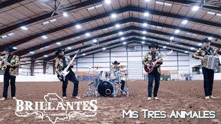 Los Brillantes de Chihuahua-Mis Tres Animales [Video Oficial]