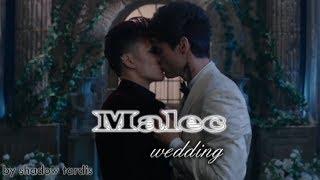 Malec [Magnus & Alec] wedding