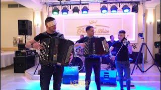 VOJKAN JOVIC X ORKESTAR KOBRE - KOLO ZA POCETAK VESELJA