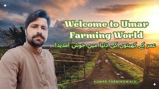 Welcome to Umar farming world  Explore farming with Umar‍