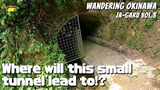 Where will this small tunnel lead to!?