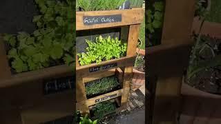 Herb Gardens - The Definitive Guide For Beginners