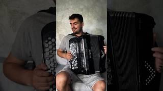 Stereo Love #accordion #music #accordionplayer #accordioncover #cover #accordionist #instrumental