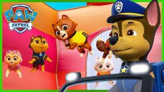 Skye és Chase megmenti a cicusokat az ugrálóvárban! - Mancs Őrjárat - PAW Patrol epizód Magyar