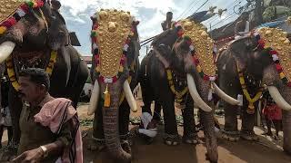 Pambadi Rajan @ Kodunthirapully Navami celebrations