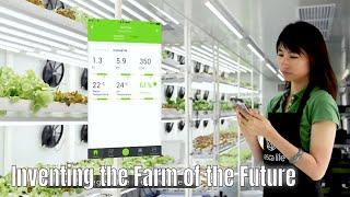 Inventing the Farm Of Future | Trending China