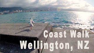 ️ 4K Wellington, New Zealand - A Stunning Seaside Walk Through the City