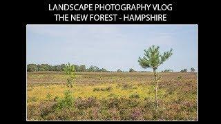 Landscape Photography Vlog - The New Forest - Hampshire (1st Vlog in England!)