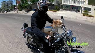 Best motorbike for Vietnam? What our riders say!︱Vietnam Motorbike Tours