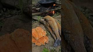 Trout Catch & Cook and Chicken of the Woods with Doug