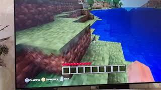 mine craft with shantya