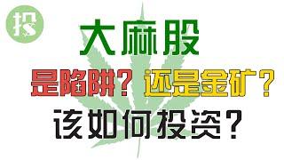 下一个暴富的机会将是大麻股？！若机会来临，你该如何投资？