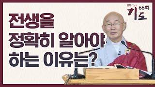 전생을 정확히 알아야 하는 이유는? [법안스님의 기도 66회]