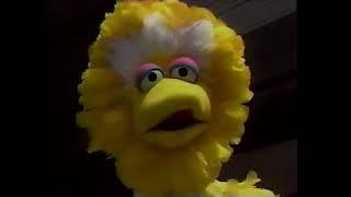 That time Big Bird thought Japanese people were from Ohio