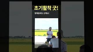 벼 초기활착 잘 되는 비결 '금황NS'ㅣ팜한농 #벼농사 #비료