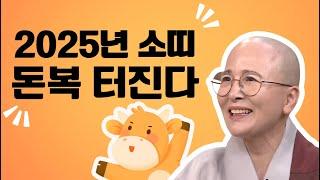 2025년 소띠 돈복 터진다. #생활#법문[보현스님TV ]