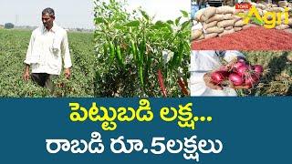 Red Chilli Farming Benefits in Telugu | Mirchi Cultivation | Tone Agri