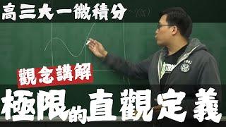 【高三大一微積分】極限篇｜1｜極限的直觀定義｜觀念講解