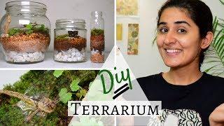 How to Make a Terrarium for Free 