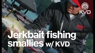 Northern Michigan jerkbait fishing for Smallies with KVD - home turf