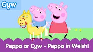 Peppa ar Cyw! | Watch Peppa in Welsh on S4C!