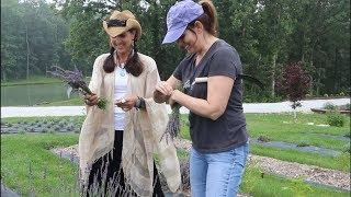 Stay at HOME mom creates LAVENDER business!