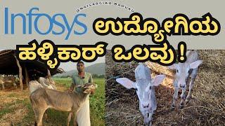 Infosys ಉದ್ಯೋಗಿಯ ಹಳ್ಳಿಕಾರ್ ಒಲವು | Hegganuru Hallikar | Black Diamond hallikar  | ️