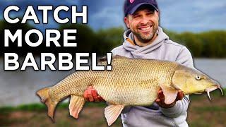 Barbel Fishing Is Easy - If You Get This Right!