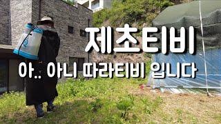 개인캠핑장에 제초제 뿌리기