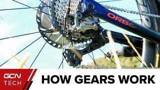 How Do Bike Gears Work? | Bicycle Gears Explained