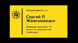 Сергей П. Железноводск,  Понимание программы  12 шагов и их принципов для созависимых