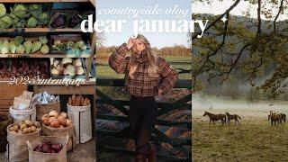 dear january: preparing for a new year in the cottage