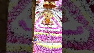 #shyam #khatushyambhajansanjaymittal #live #sanjaymittalbhajn #navratanpareek #shyamjibhakti