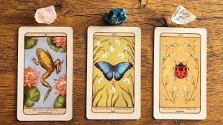 MEANT TO REACH YOU BEFORE THE END OF TODAY!| Pick a Card Tarot Reading