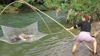 TIMELAPSE: Exciting Fishing, How To Catch Fish In The Wild, Fishing Techniques Catch Many Big Fish