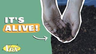 The secret history of dirt