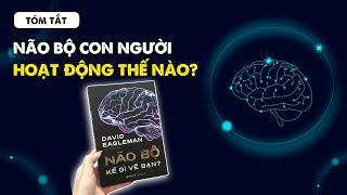 Hiểu tất tần tật về não bộ con người trong 12 phút | Chloe Châu | Spiderum Books