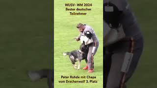 WUSV- WM 2024 Bester deutscher Teilnehmer Peter Rohde mit Chapa vom Drachenwolf