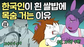 한국인이 흰 쌀밥 집착광공된 이유ㅣ사막에서도 농사짓는 미친 집념의 결과