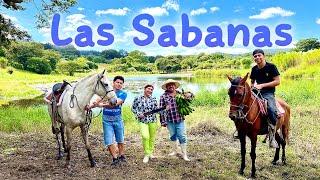 LAS SABANAS vs Other Tourist Destinations: Which is Better?