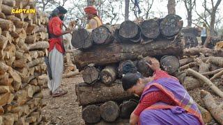 बाजी और उसके मित्रो को कैसे ढूंढेगी सावित्री बाई भोसले - Peshwa Bajirao - पेशवा बाजीराव