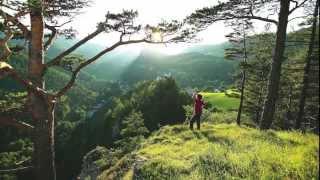 Paradies der Blicke: Wandern in den Wiener Alpen