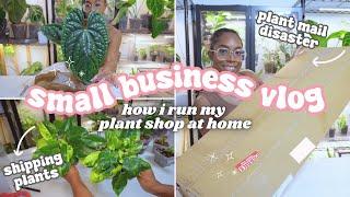 Running a Plant Store From Home Vlog🪴: Unboxing Plant Shipment, Plant Mail Disaster, Rehab Plants