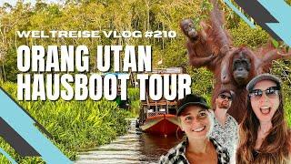 Wilde Orang-Utans auf Borneo - Hausboot Tour im Tanjung Puting Nationalpark - INDONESIEN 